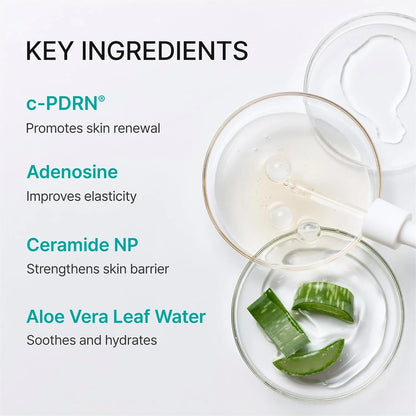 Rejuran Turnover Mask key ingredients: c-PDRN, adenosine, ceramide NP and aloe leaf water